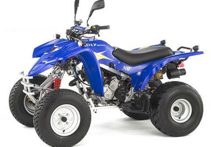 Herkules ATV 300 S 2009