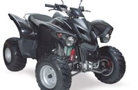 Herkules ATV 220 Crossroad Sentinel 2009 - Bild 1