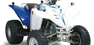 Herkules 300 Interceptor 2009 vs Adly Interceptor 300 2014