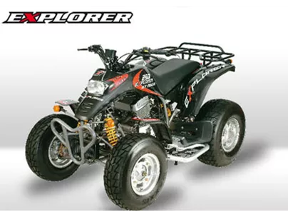 Explorer Stinger 250 2009