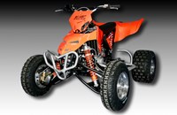 E-ATV 85 SX 2010 - Bild 1