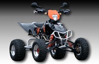 E-ATV 530 EXC R 2010 - Bild 1