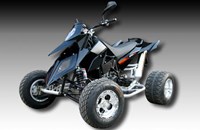 E-ATV 690 SM 2010 - Bild 1