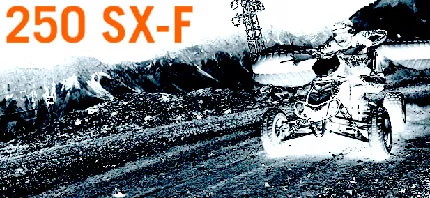 E-ATV 250 SX F