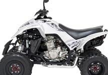 Dinli Sports 450 Special Offroad 2010 - Bild 2 Dinli Sports 450 Special Offroad 2010 - Bild 2