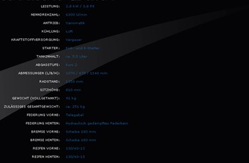 Kreidler RMC-E 50 DD Sport 2010 - Bild 4