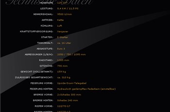 Kreidler Street 125 DD 2010 - Bild 2 Kreidler Street 125 DD 2010 - Bild 2