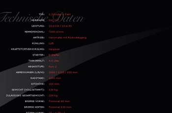 Kreidler F-Kart 170 2010 - Bild 2