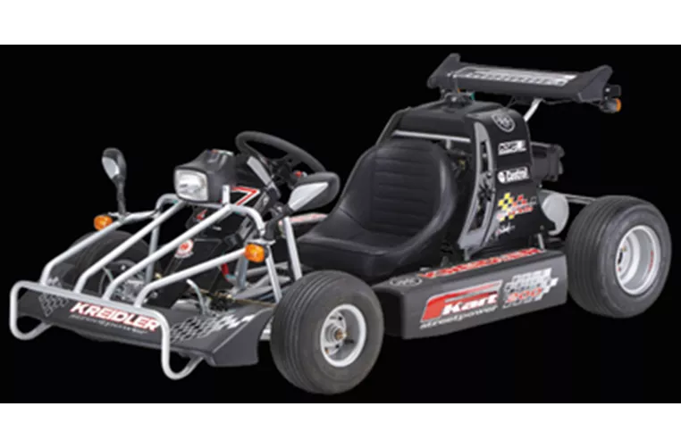 Kreidler F-Kart 170 2010 Kreidler F-Kart 170 2010