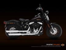 Harley-Davidson Softail Cross Bones FLSTSB 2010 - Bild 2