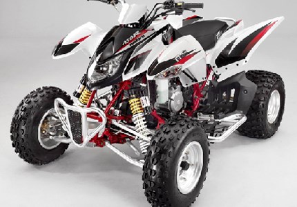 Triton Reactor 450 2010