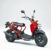 Honda NPS 50 Zoomer 2010 - Bild 5