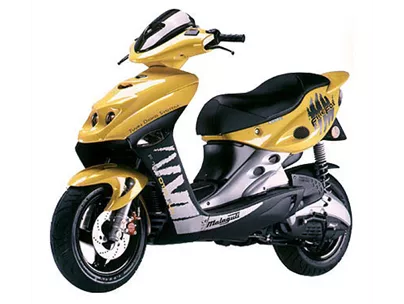 Malaguti F 15 Firefox 2010 Malaguti F 15 Firefox 2010