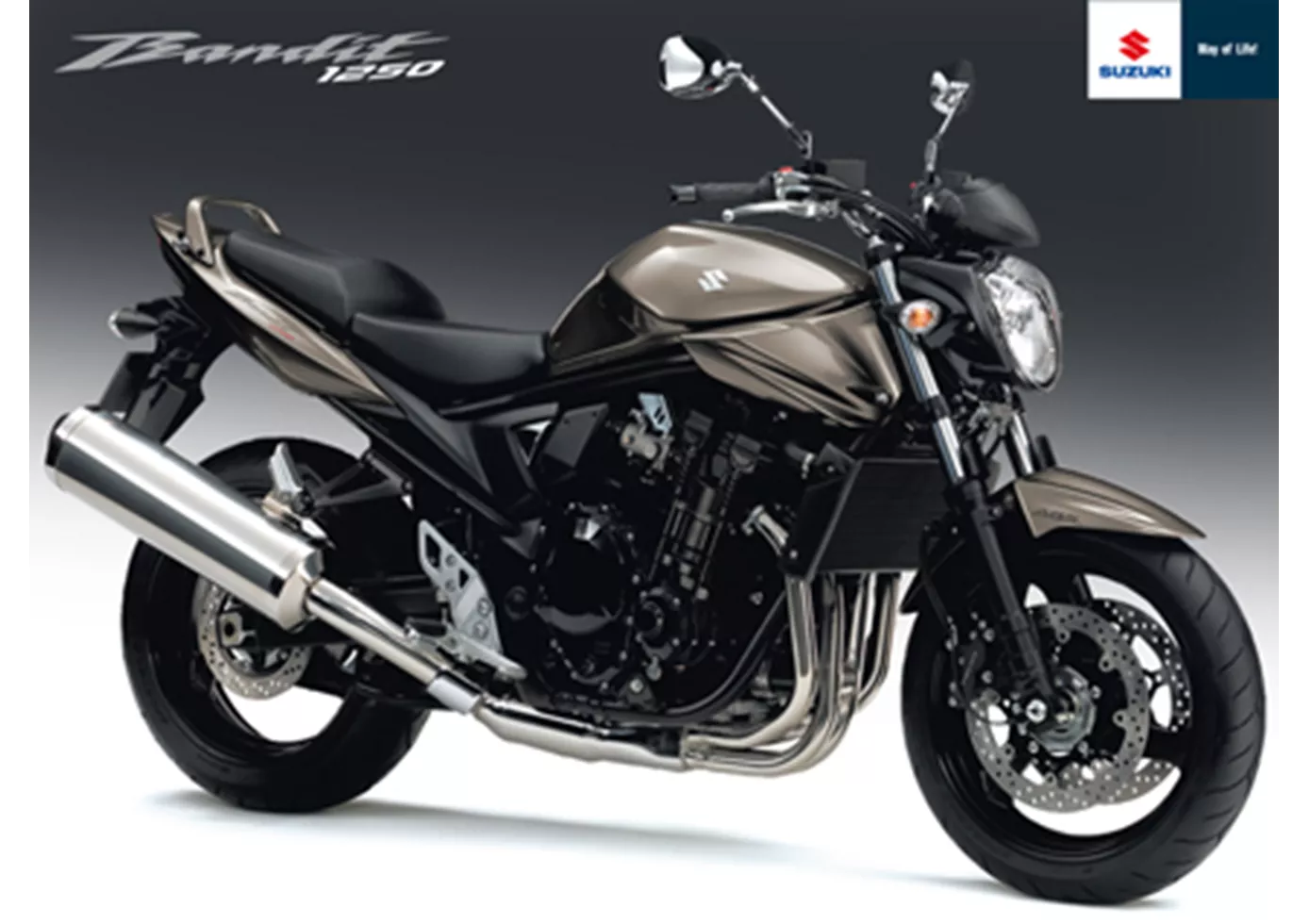 Suzuki Bandit 1250 2010 Suzuki Bandit 1250 2010