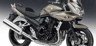 Suzuki Bandit 1250S 2010 vs Kawasaki ER-6n 2007 Suzuki Bandit 1250S 2010 vs Kawasaki ER-6n 2007