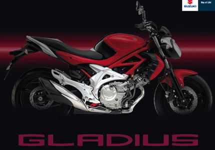 Suzuki SFV 650 Gladius 2010 Suzuki SFV 650 Gladius 2010