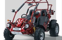 PGO BugRider 250 2010 - Bild 1