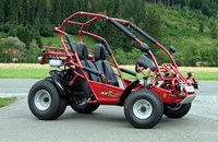 PGO BugRider 50 2010 - Bild 1