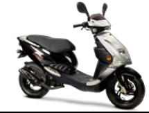 PGO T-Rex 50 2010 - Bild 3