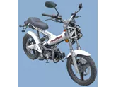 Sachs Madass 50 2010 Sachs Madass 50 2010