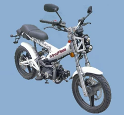 Sachs Madass 50 2010