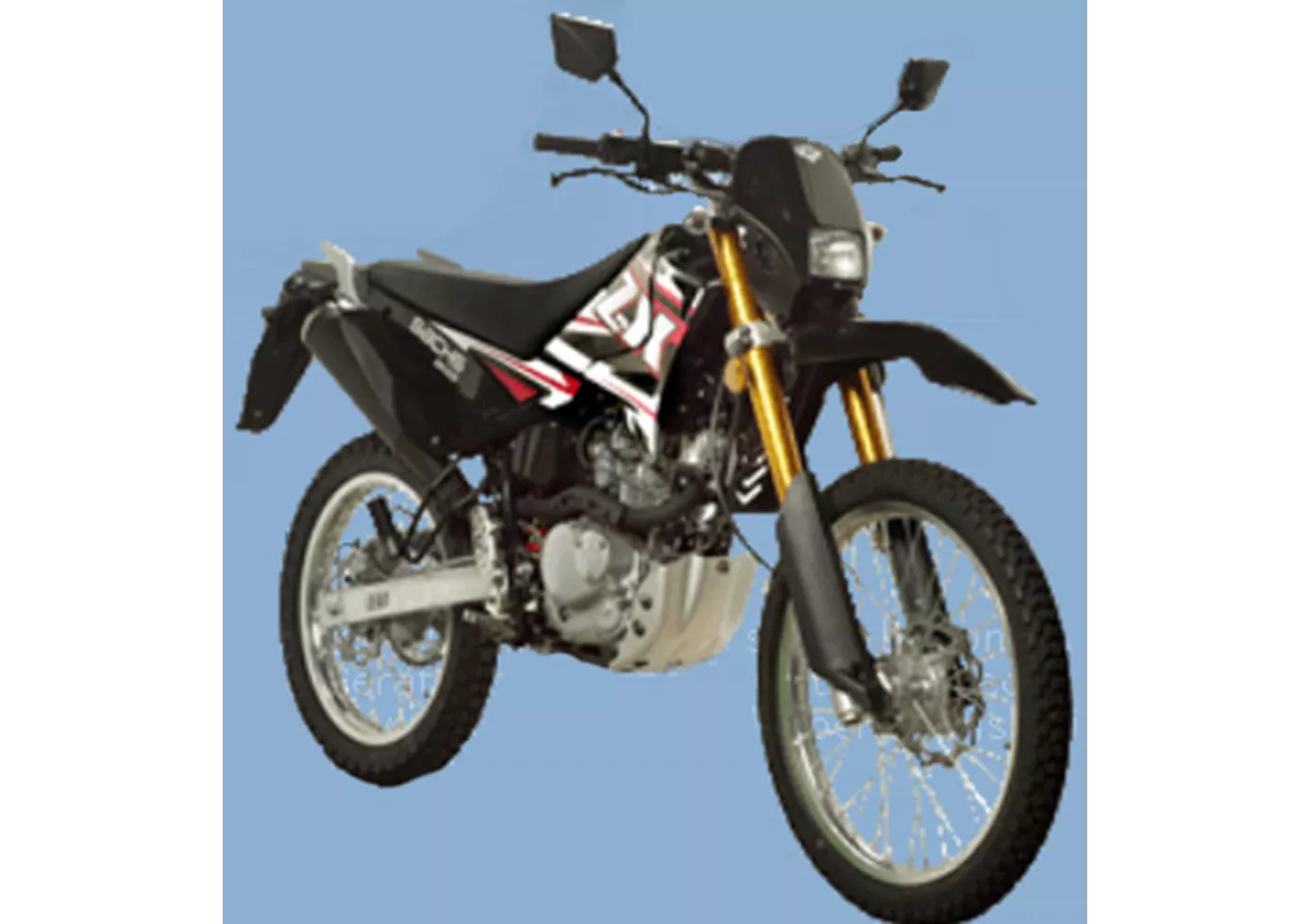 Sachs ZX 125 2010 Sachs ZX 125 2010