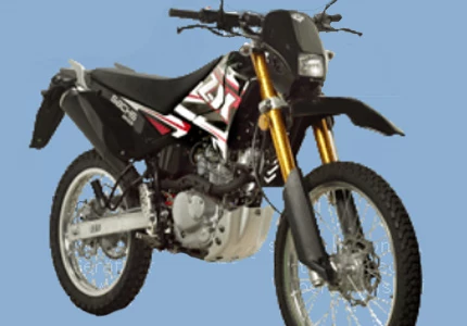 Sachs ZX 125 2010 Sachs ZX 125 2010