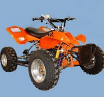 Sachs Typhoon 2010 - Bild 2