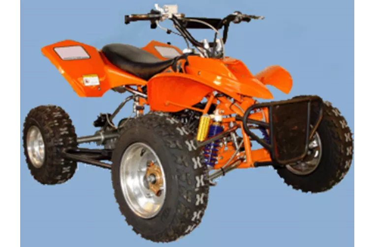 Sachs Typhoon 2010 Sachs Typhoon 2010