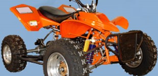 Gilera GILERA RUNNER 50 SP FL 2010 vs Sachs Typhoon 2010