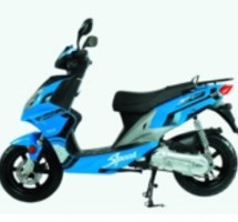 Sachs Speedforce 50 2010 - Bild 2