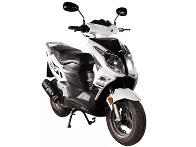 Sachs SX1 2010 Sachs SX1 2010