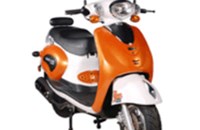 Sachs Bee 50 2010 - Bild 2