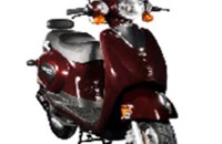 Sachs Bee 50 2010 - Bild 3