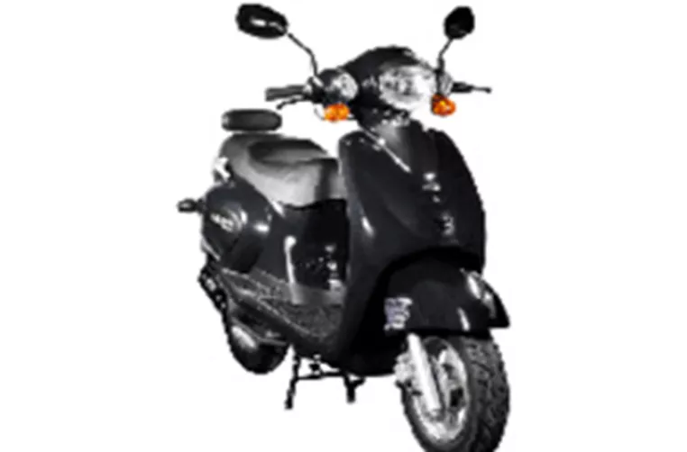 Sachs Bee 50 2010 Sachs Bee 50 2010