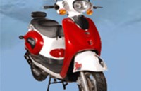 Sachs Bee 50 2010 - Bild 5