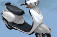 Sachs Bee 50 2010 - Bild 6