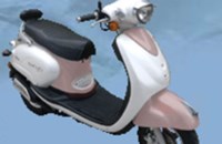 Sachs Bee 50 2010 - Bild 7