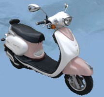 Sachs Bee 50 2010 - Bild 7 Sachs Bee 50 2010 - Bild 7