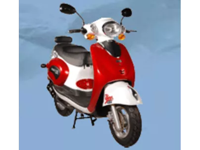 Sachs Bee 50 2010 Sachs Bee 50 2010