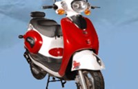 Sachs Bee 50 2010 - Bild 1