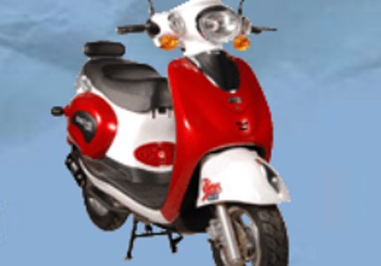 Sachs Bee 50 2010 Sachs Bee 50 2010