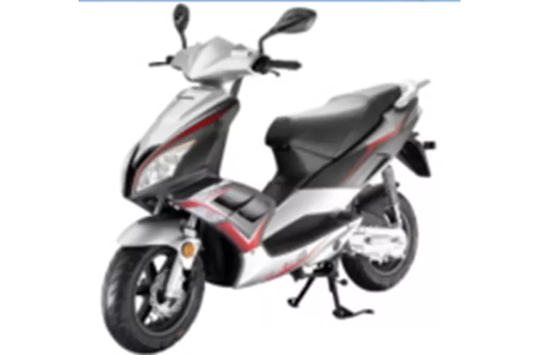 Sachs Speedjet R 2010 Sachs Speedjet R 2010