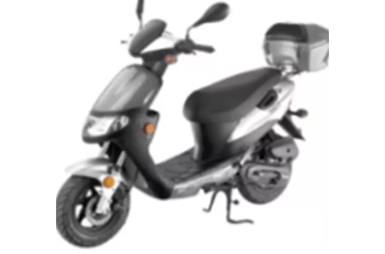 Sachs Speedforce R 2010 Sachs Speedforce R 2010