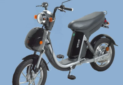 Sachs Prima E 2010 Sachs Prima E 2010