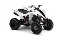 Yamaha YFM 350R 2010 - Bild 2