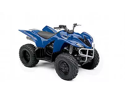 Yamaha Wolverine 450 2010 Yamaha Wolverine 450 2010