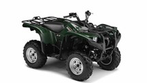 Yamaha Grizzly 550 2010 - Bild 2