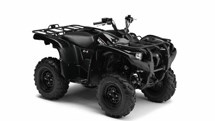 Yamaha Grizzly 550 2010 - Bild 4