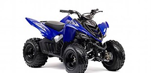 Yamaha MT-09 2022 vs Yamaha YFM 90 2010